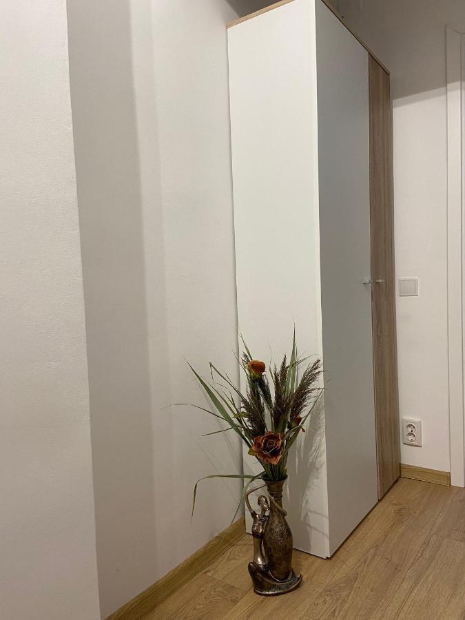 Daniela'S Apartaments Σιγκισοάρα Εξωτερικό φωτογραφία